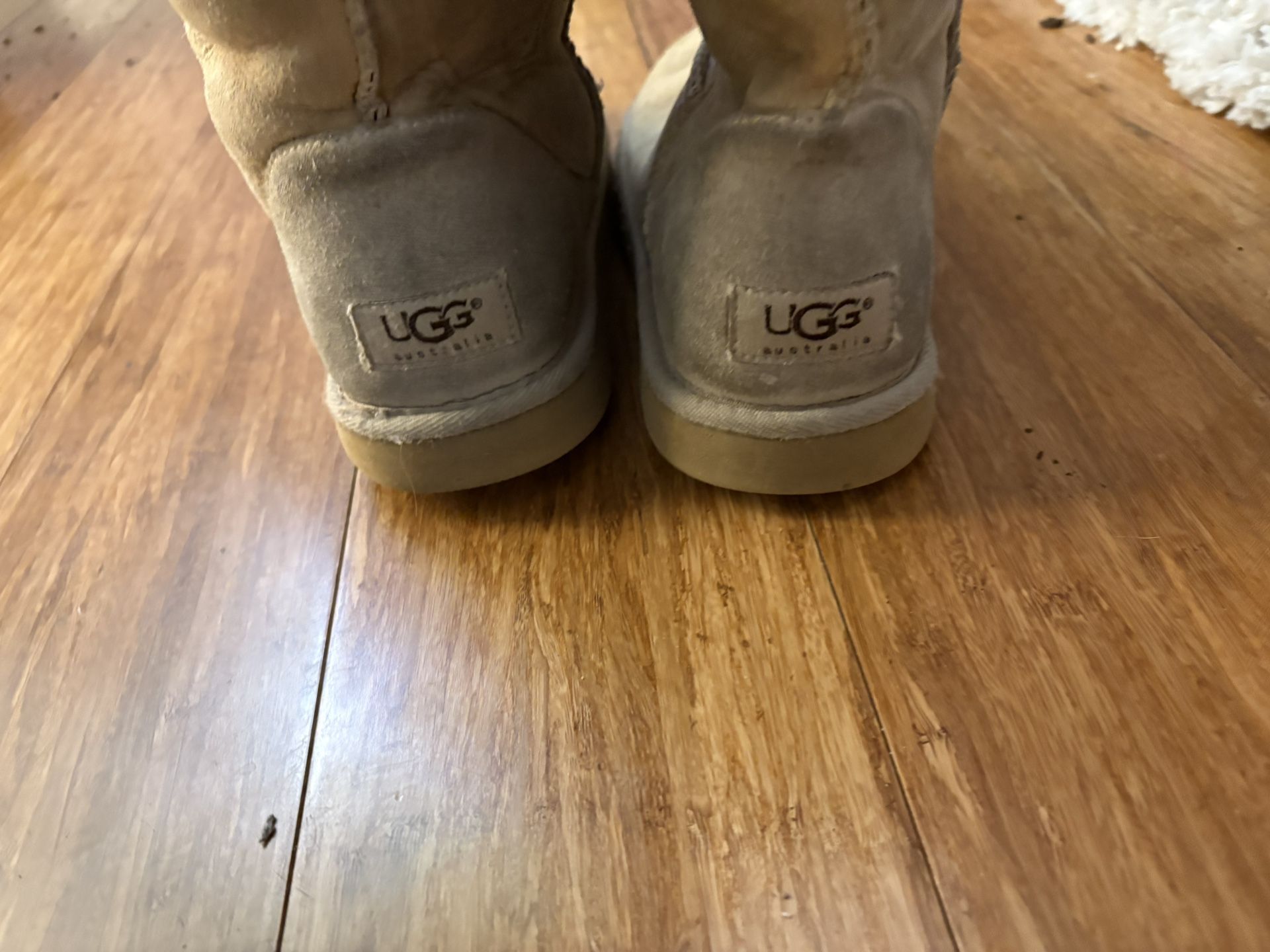 Tall Uggs