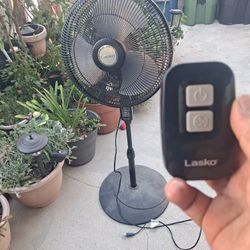 Lasko Fan 