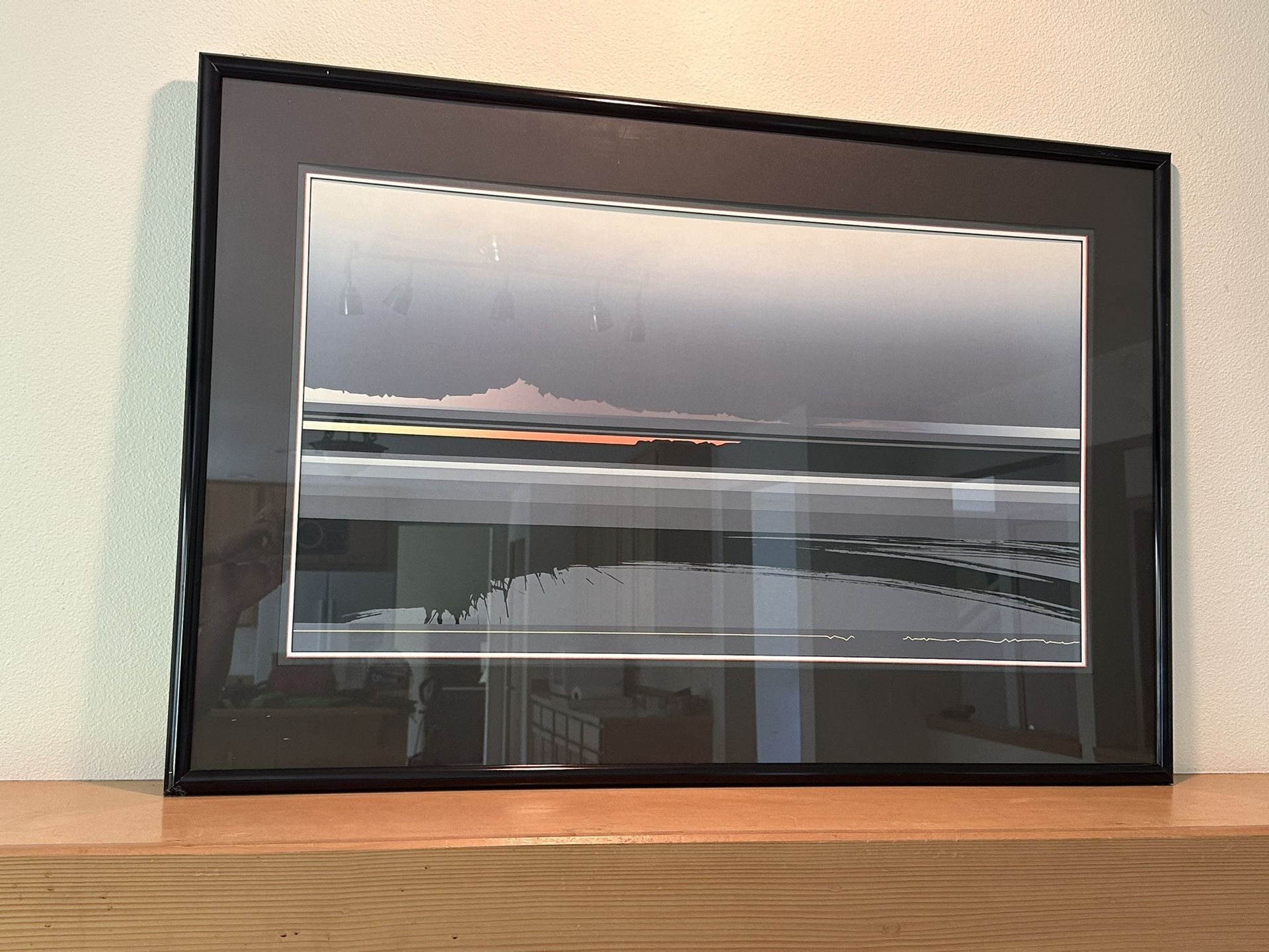 Professionally Mounted Wall Hanging Art