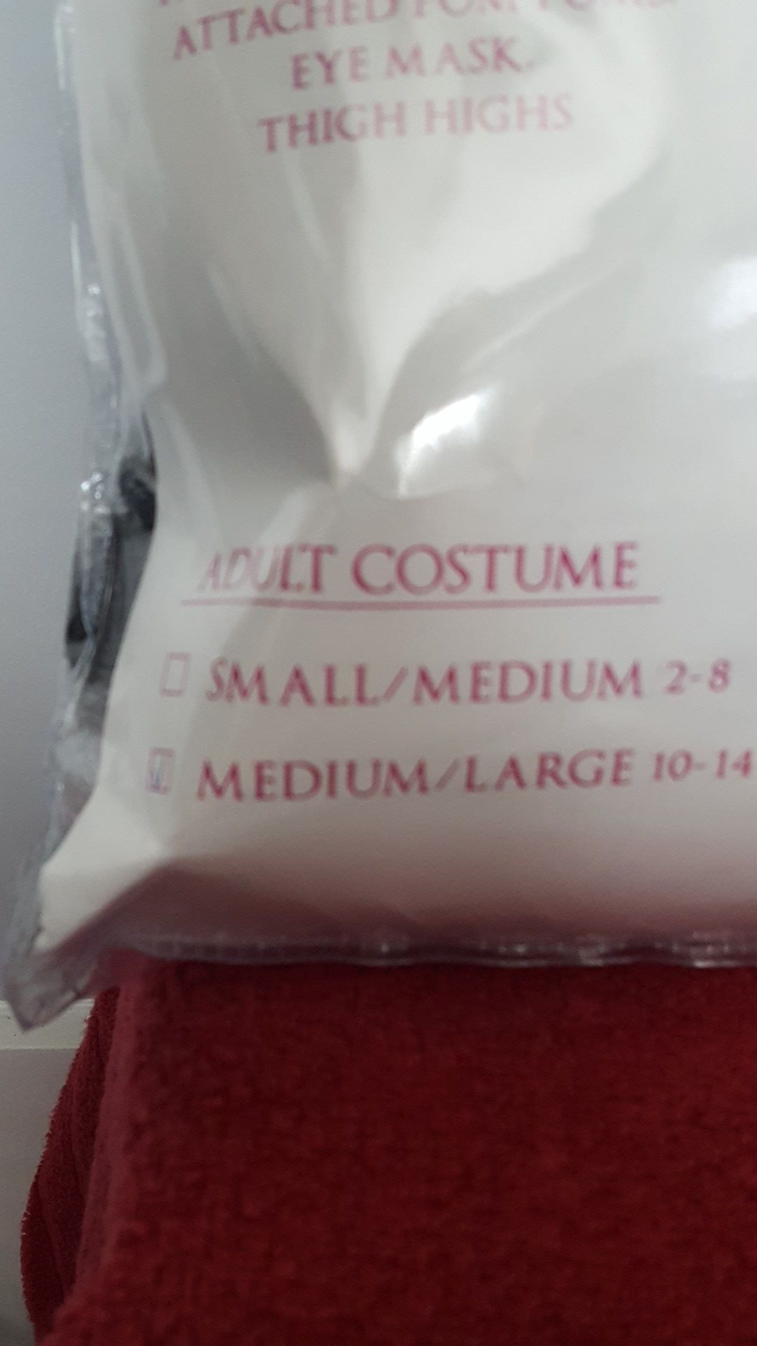Spirit Halloween Racy Raccoon complete costume