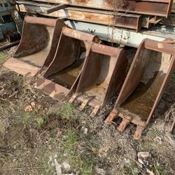 Wain Roy Buckets -$500 Per Bucket