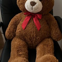 Extra Large Teddy Bear