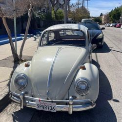 1965 Volkswagen Beetle