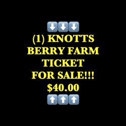 Knotts Berry Farm Ticket (1)