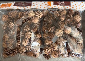 2 Bags Crafting Christmas Tree Pine Cones Pinecones