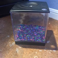 Fish Tank And Gravel
