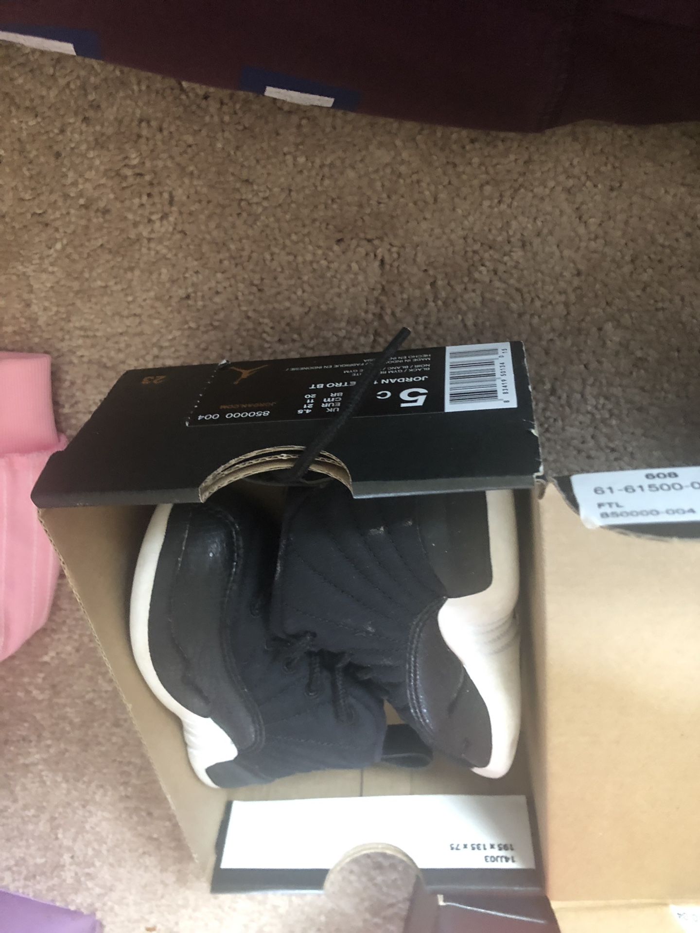 Size 5C Jordan 12s