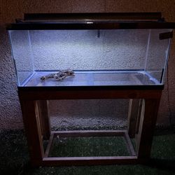 75 Gallon Aquarium Set Up 