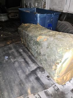 Film Prop Large Tail