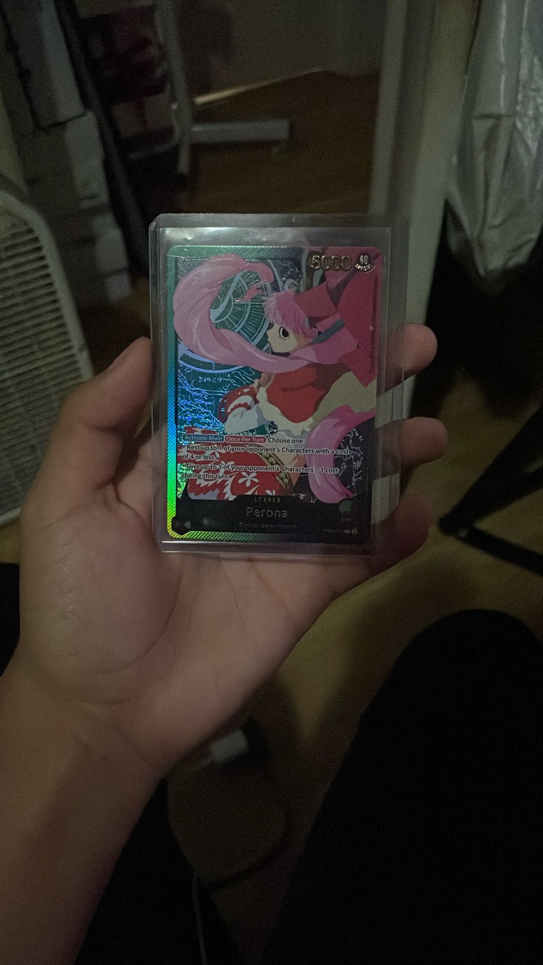 leader perona