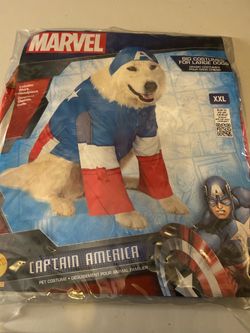 Captain American dog costume XXL