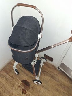 Dog Stroller