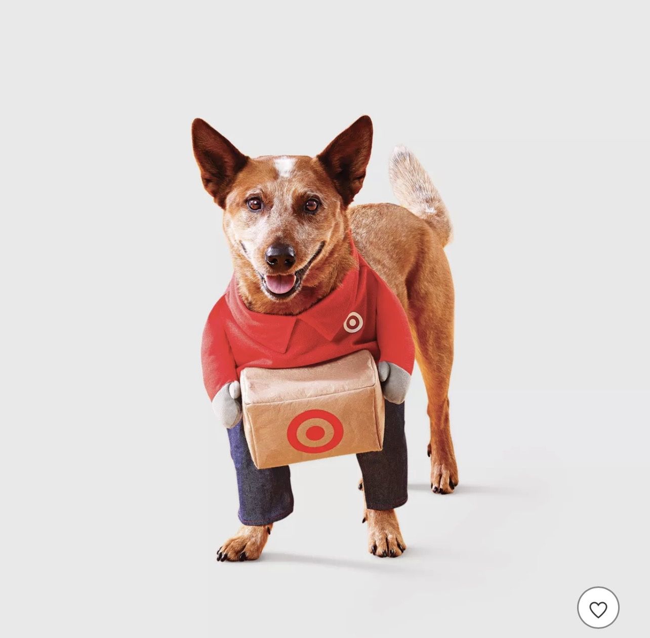 Dog Costume (size XL)