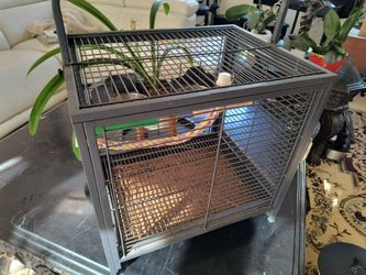 Bird cage