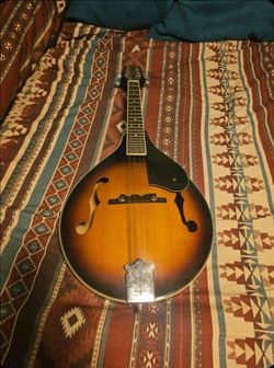 Rogue Mandolin