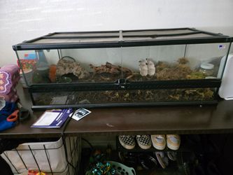 Exo terra terrarium