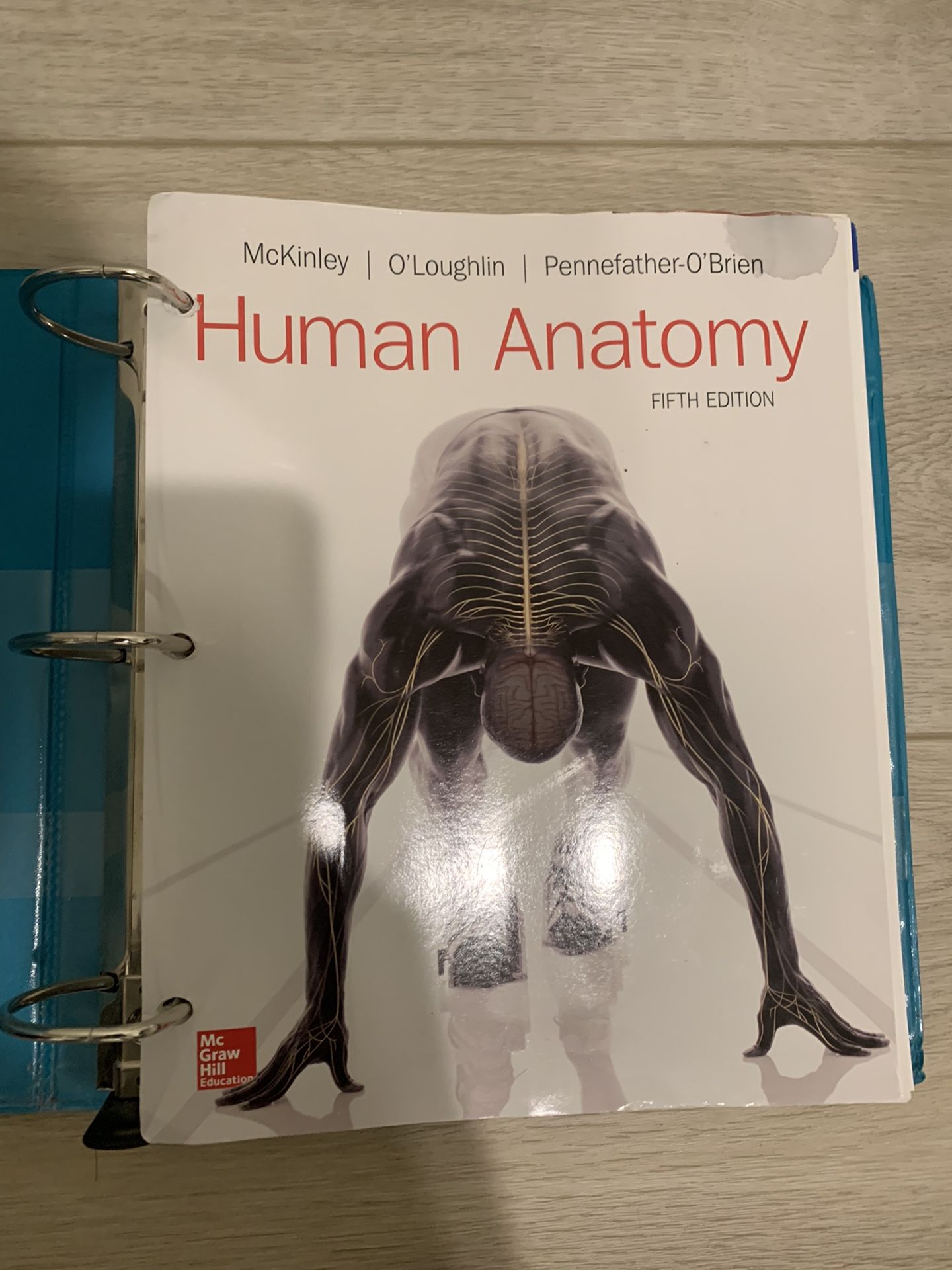 Human Anatomy 5th Edition McKinley Binder Edition