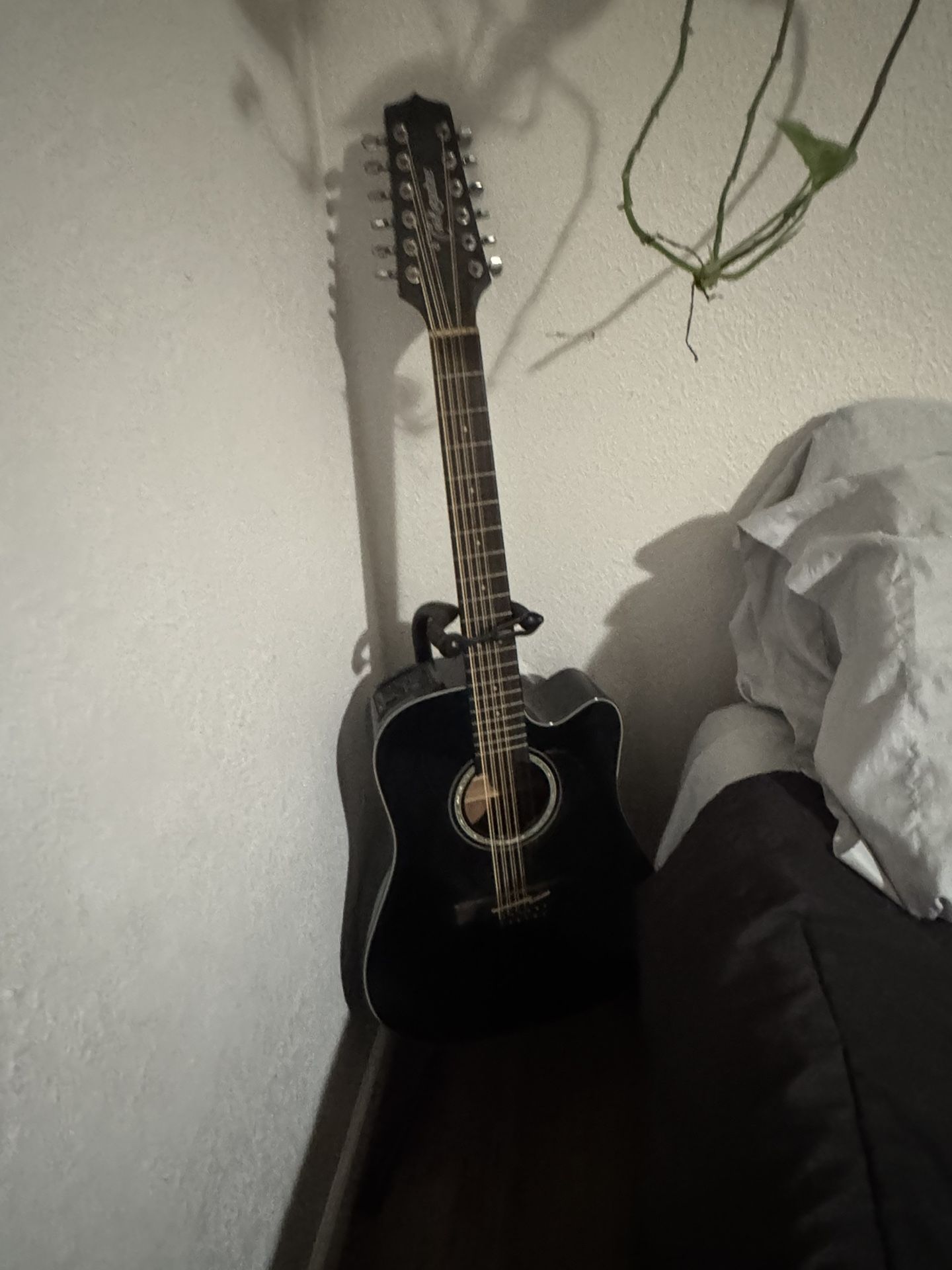 Takamine guitar 12 string 