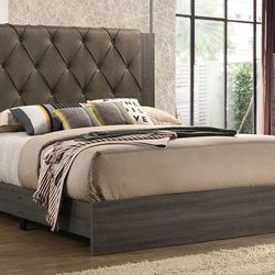 Searah  queen bed