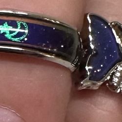 Complementary Rings (2)