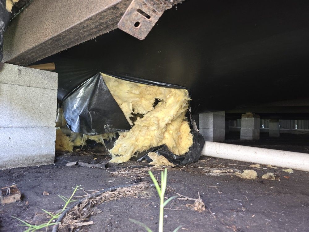 Vapor Barrier And Insulation