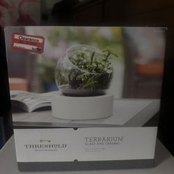 Plant Terrarium 