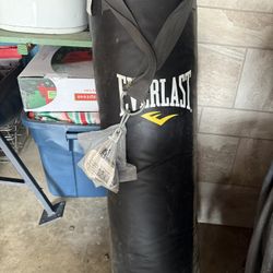 Punching Bag