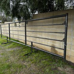 Cattle Panels For Cows Bulls Bison 