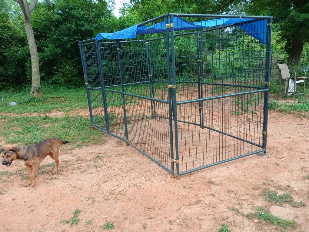 Outdoor Metal Dog Kennel Woth Canopy