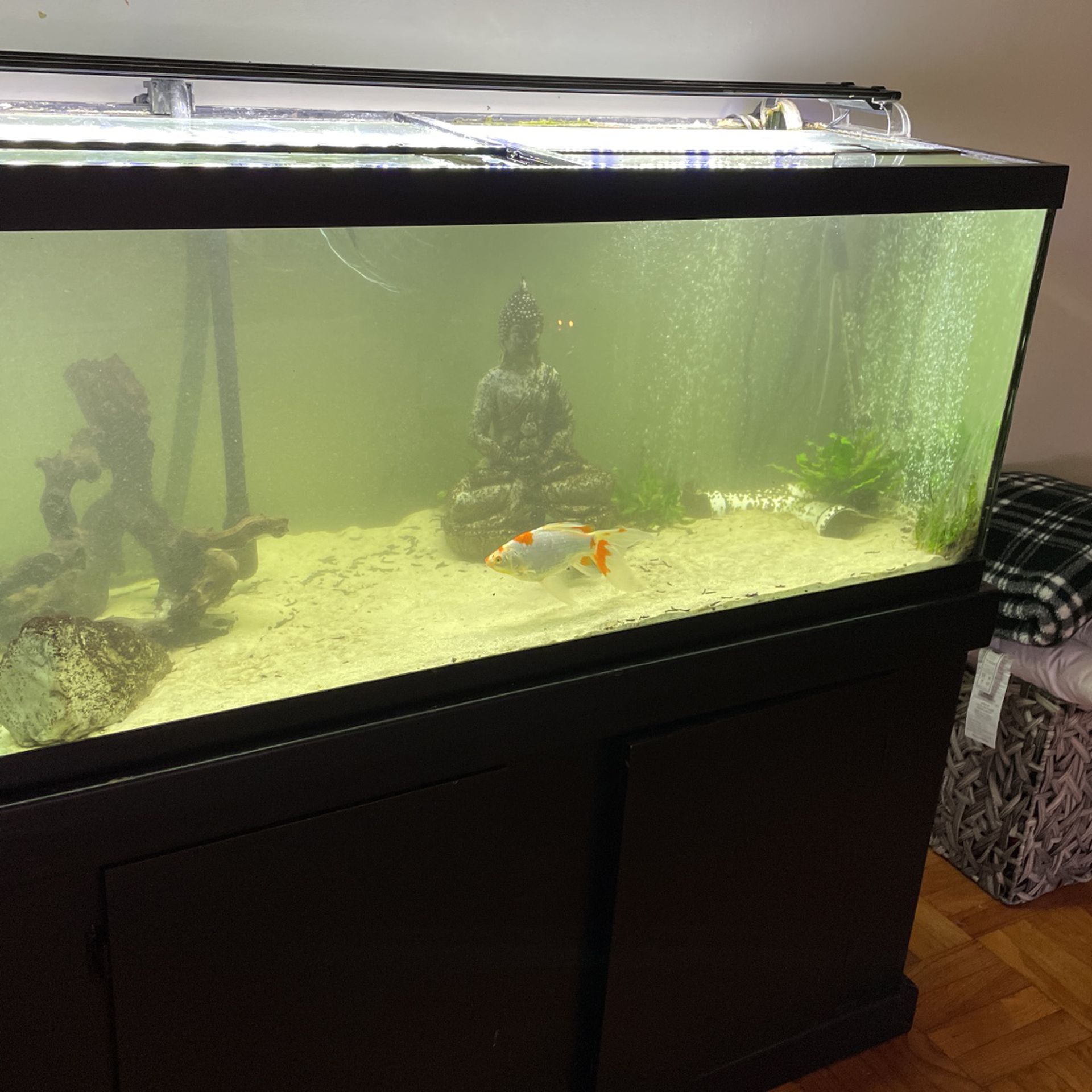 75 Gallon Fish Tank, Pump, Light 