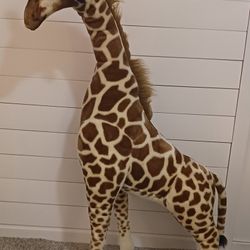 Giraffe 