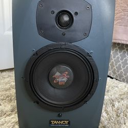 Tannoy Reveal Active Powered Studio Monitor Speaker And Makes A Great Guitar Amp