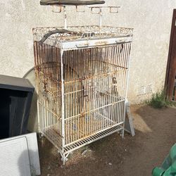 Bird Cage 4 Feet Plus