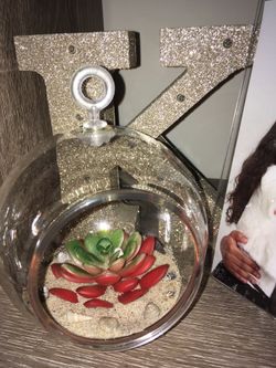 Air plants hand made to perfection