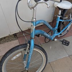 20 Inch Girls Bike