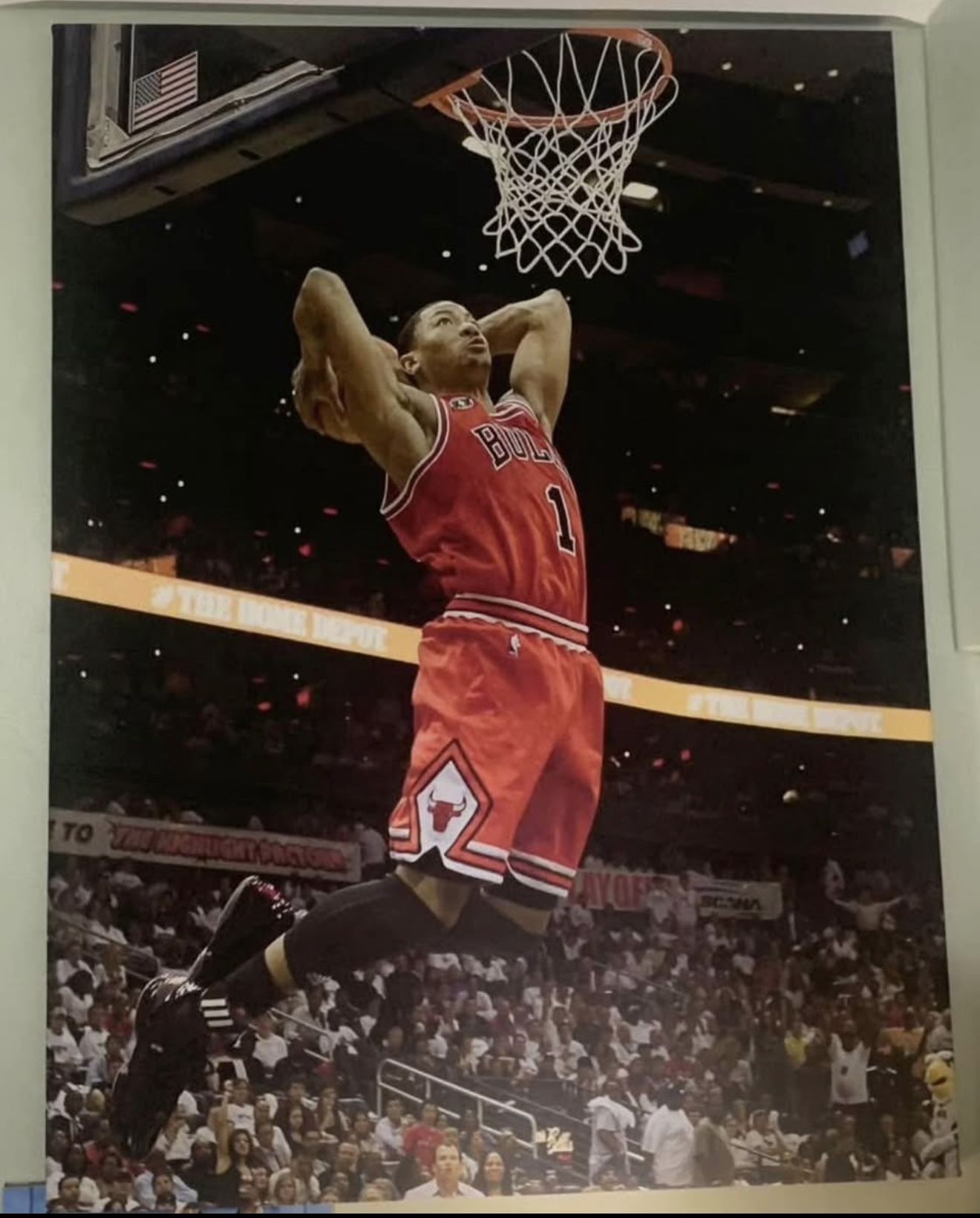 Derrick Rose Poster