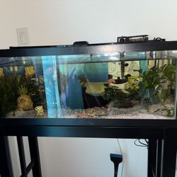 30 Gallon fish tank, Stand, Light, Heater, And Cleaning Tools