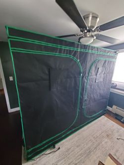 Indoor Tomato growing setup