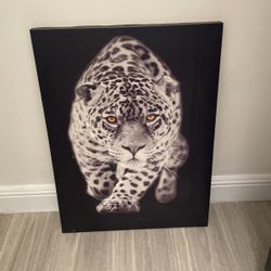 Lion  Frame