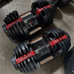 Bowflex Select Tech 552 Dumbells