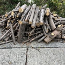 Fresh Cut fire Wood