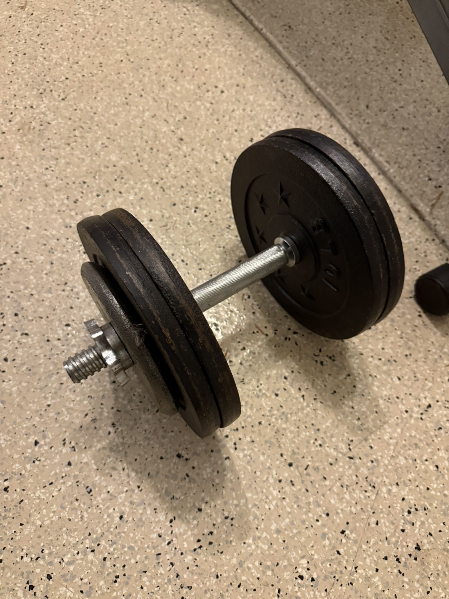 45lbs Dumbbells Pair