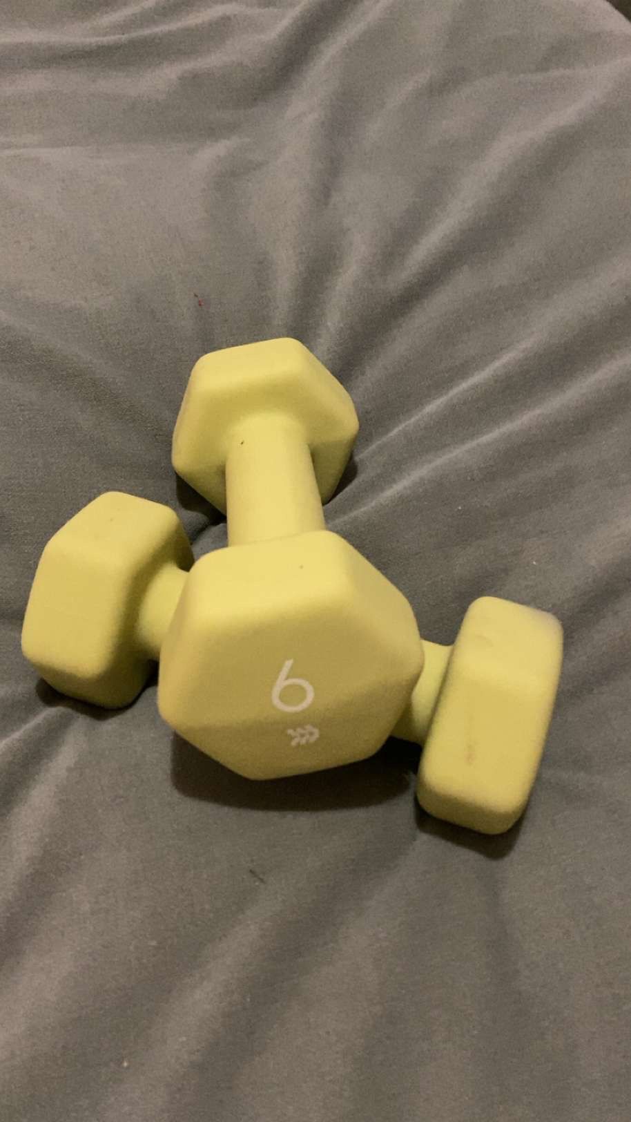 6 Lb Weights