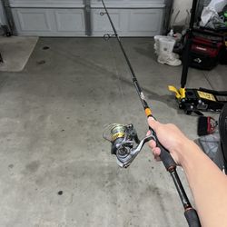 Dobyns rod with diawa reel 