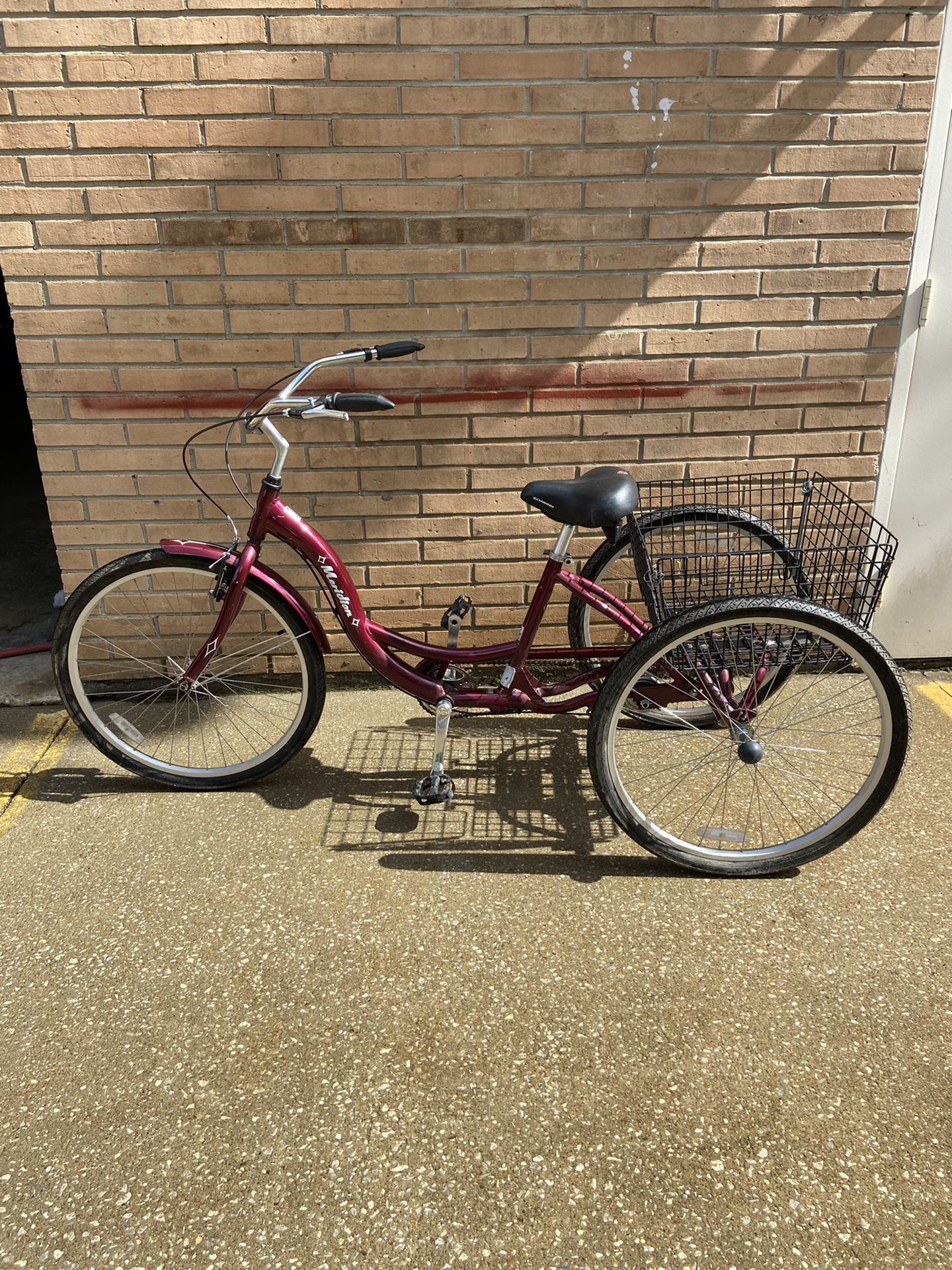 Schwinn Adult Tricycle