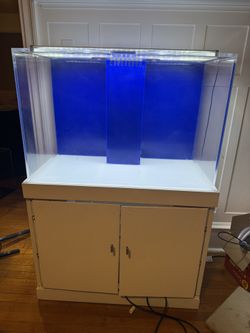65 Gallon Aquarium With Sump Stand And Extra Piping 