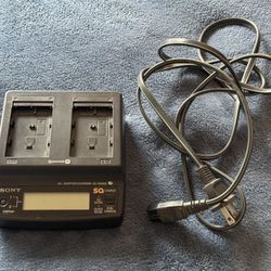 Sony ACSQ950D AC/DC adapter charger for Sony Alpha DSLR cameras and MiniDV camcorders