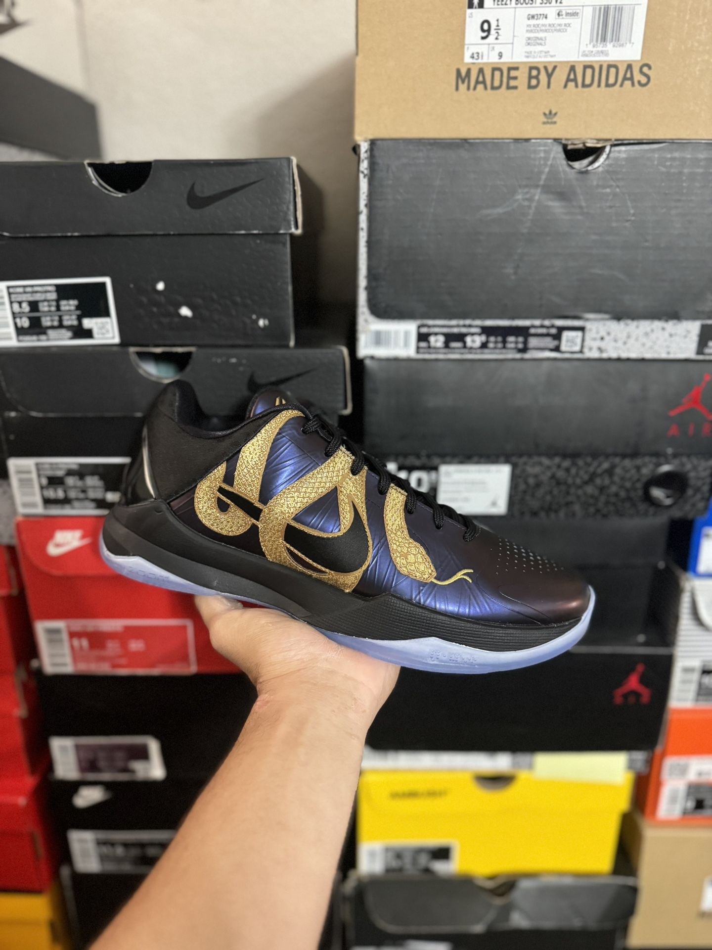 DS Kobe 5 Protro Year Of The Mamba Eggplant size 10