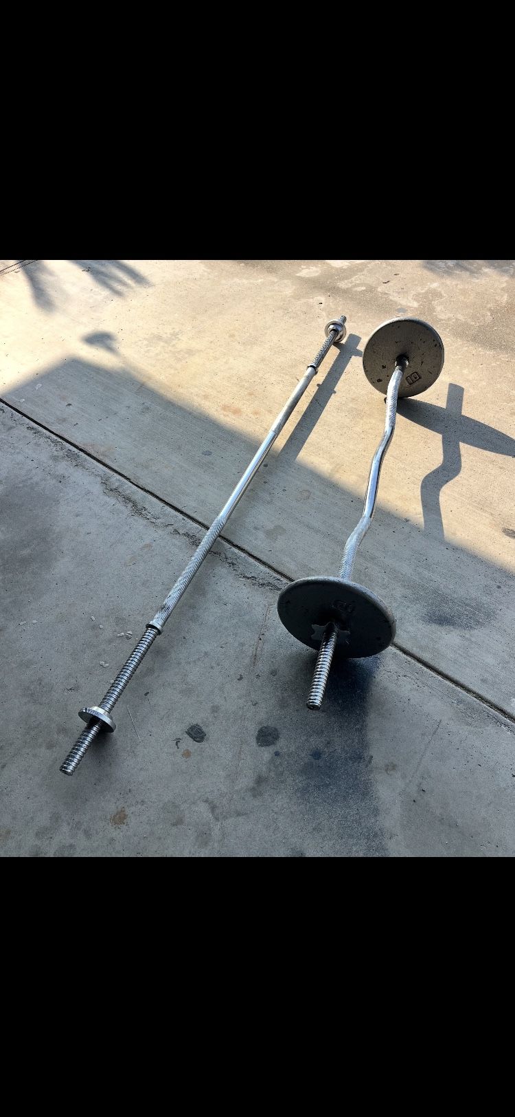 Curl Bar And 2 20 Lb Weights And 1 Weight Bar