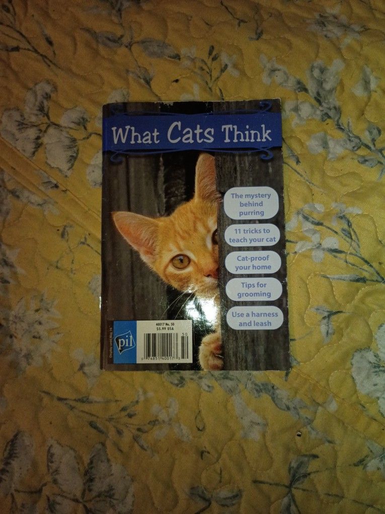 Book About Cats